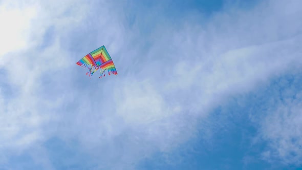 Multicolored Rainbow Lgbt Kite Air Flies on the Background