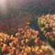 Aerial flythrough of Winding Road Through Autumn Trees with Fall Colors in New England - VideoHive Item for Sale