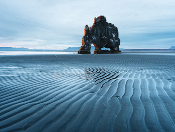s in the sand at low tide. Tourist attraction. Hvitserkur, Iceland, Europe
