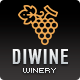 Diwine - Winery & Wine Shop, Vineyard WordPress Theme - ThemeForest Item for Sale