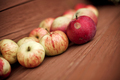 garden apples - PhotoDune Item for Sale