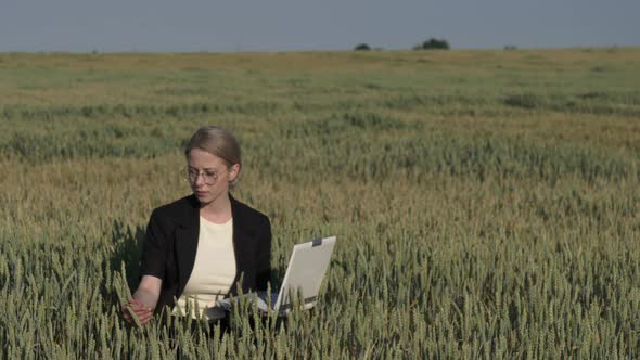 employee of an agricultural firm with a laptop checks the quality of wheat in the field