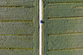 Aerial view of a field dedicated to soybean cultivation - PhotoDune Item for Sale