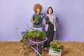 Team of women botanists work together transplant potted flowers stand near wheelbarrow have positive - PhotoDune Item for Sale