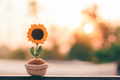 Love concept Encouragement, Friendship, Hope and Beginnings, Positive Photos. - PhotoDune Item for Sale