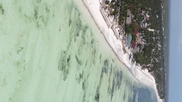 Vertical Video Boats in the Ocean Near the Coast of Zanzibar Tanzania Aerial View