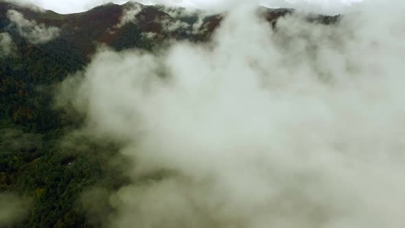 Aerial Over Forest In Fog