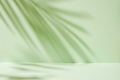 Abstract tropic mint-colored background with soft palm tree shadows like a mockup  - PhotoDune Item for Sale