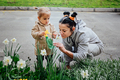 Spring Gardening activities for toddler kids. Senior woman grandmother and little toddler girl - PhotoDune Item for Sale