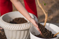 Gently Pouring Soil - PhotoDune Item for Sale