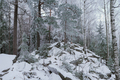 Fairytale winter forest covered by snow - PhotoDune Item for Sale