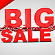 Big Sale - VideoHive Item for Sale