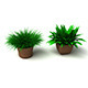 Grass Plant - 3DOcean Item for Sale