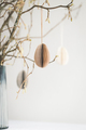 Easter eggs hanging on branches against white wall. - PhotoDune Item for Sale