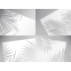 Palm Leaves Shadow Overlay Vector Window Frames - GraphicRiver Item for Sale