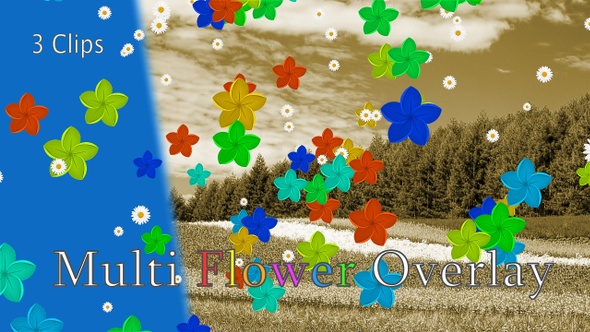 Multi Flower Overlay