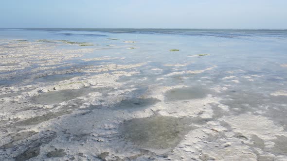 Shore of Zanzibar Island Tanzania at Low Tide