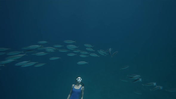 Beautiful Young Man Swimming Underwater with Dolphins in Pristine Blue Ocean Water Amazing