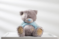 Teddy bear. - PhotoDune Item for Sale