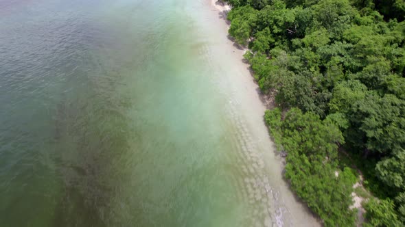 Jugle beach with crystalline water