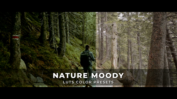 Nature Moody Luts