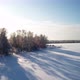 Winter Forest Landscape. - VideoHive Item for Sale