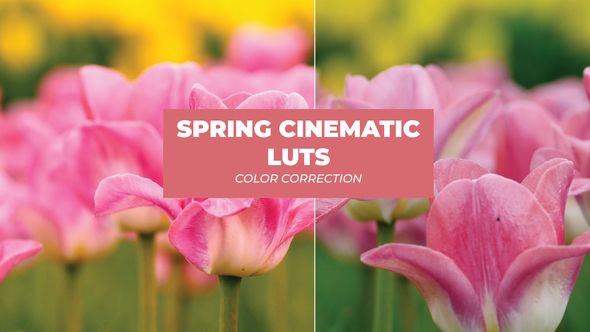 LUTs Spring Cinematic