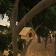 Bird House - 3DOcean Item for Sale