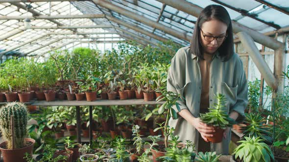 Asian Woman Picking Up Succulent Plant in Greenhouse
