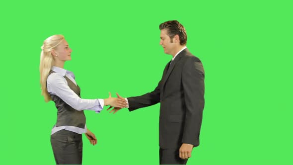 Business male and female shaking hands