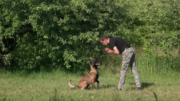 Dog Is Barking on a Man with Ball.