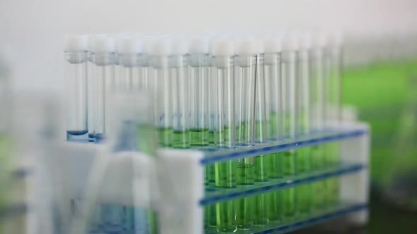 Researcher's Hand in a Protective Glove Takes Sample Tubes From a Holder in a Laboratory. Close Up.