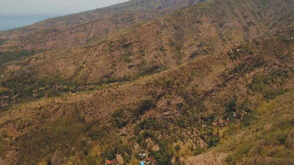 View Mountain Forest Landscape