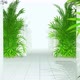 Wall Plant 04 4k - VideoHive Item for Sale