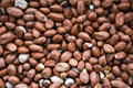 Background Image Of Raw Peanuts - PhotoDune Item for Sale