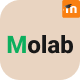 Molab | LMS & Education Moodle 4+ Theme - ThemeForest Item for Sale