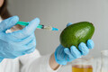 Woman wearing scientist uniform injecting on avocado during experiment with vegetables in laboratory - PhotoDune Item for Sale