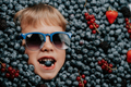 Smiling little boy face in ripe berries blueberries, organic bilberry plant - PhotoDune Item for Sale