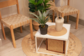 plants and eco style furniture - PhotoDune Item for Sale