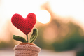 Love concept Encouragement, Friendship, Hope and Beginnings, Positive Photos. - PhotoDune Item for Sale