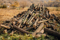 Logs of chopped stacked firewood stacks. Woodpile preparation for cold winter - PhotoDune Item for Sale