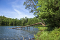 Small trout lake in northern Minnesota with a fallen tree in the water on a summer day - PhotoDune Item for Sale