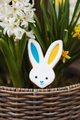 Easter bunny gingerbread cookie with ears yellow blue colored as Ukraine flag - PhotoDune Item for Sale