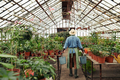 Greenhouse Worker Carrying Buckets - PhotoDune Item for Sale