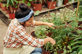 Woman Using Garden Shears - PhotoDune Item for Sale