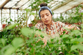 Young Woman Working With Plants - PhotoDune Item for Sale