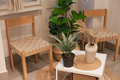 chairs and table in eco interior style design decorated with plants - PhotoDune Item for Sale