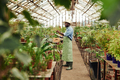 Young Man Working In Greenhouse - PhotoDune Item for Sale