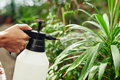 Removing Dust From Plant Leaves - PhotoDune Item for Sale
