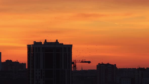 Morning Sky of Red and Orange Shades - Silhouettes of Buildings and Lifting Crane - Birds Flying